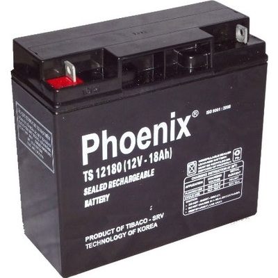 Ắc Quy Phoenix TS 12180