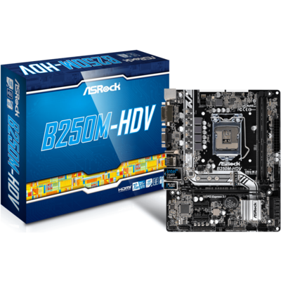 Bo Mạch Chủ ASRock B250M-HDV (Socket LGA1151)