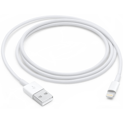 Dây Cáp Sạc Apple Lightning To USB 1m (MD818ZM/A)