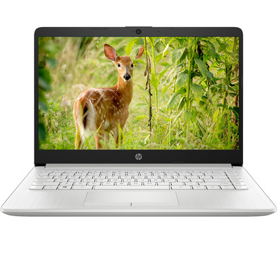 Máy Tính Xách Tay HP 14s-cf2527TU/Core I3-10110U/4GB DDR4/256GB SSD/14.0'' HD/Win 11 Home SL/BẠC (4K4A1PA)