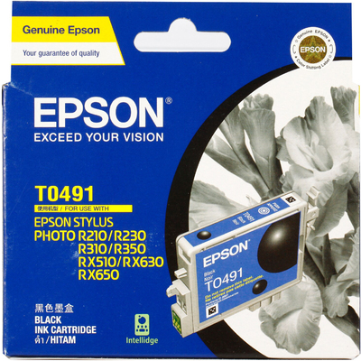 Mực In Phun Epson T049190 (Black)