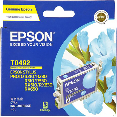 Mực In Phun Epson T049290 (Cyan)