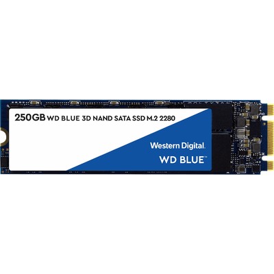 Ổ Cứng SSD WD Blue 250GB SATA M.2 2280 (WDS250G2B0B)